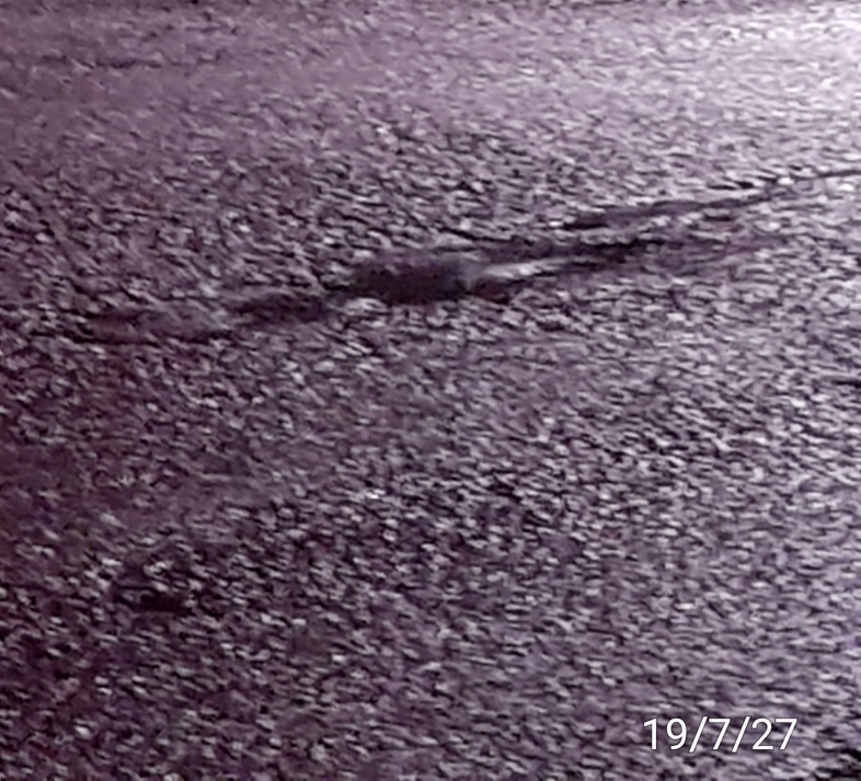 현재사진입니다