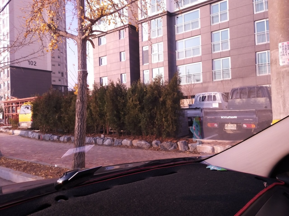 임시로 해놓은 나무벽?