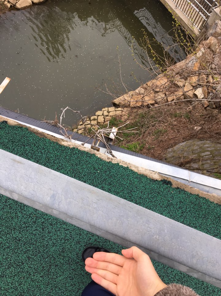 KakaoTalk_20200420_155015924_01