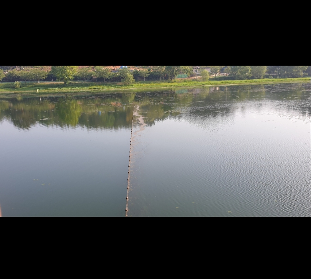 Screenshot_20200609-154558_Gallery