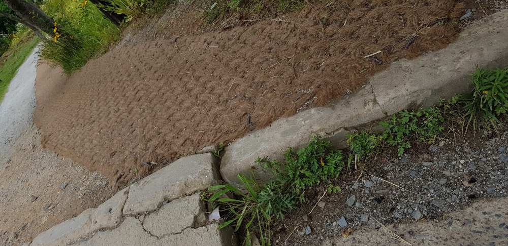 KakaoTalk_20200624_145700559_01