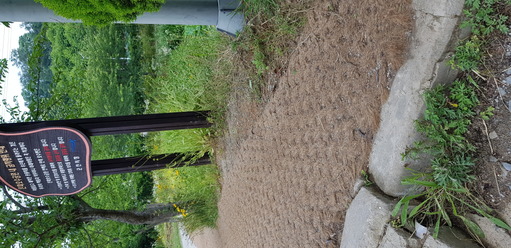 KakaoTalk_20200624_145700559