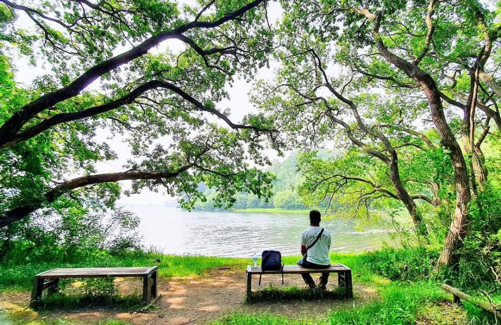 b_ggjUd018svcxa5obek8edyz_emyb63