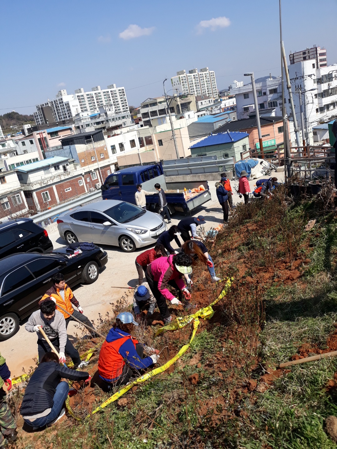 삼학동 식목 행사