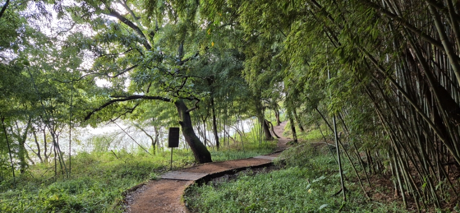 청암산수변로