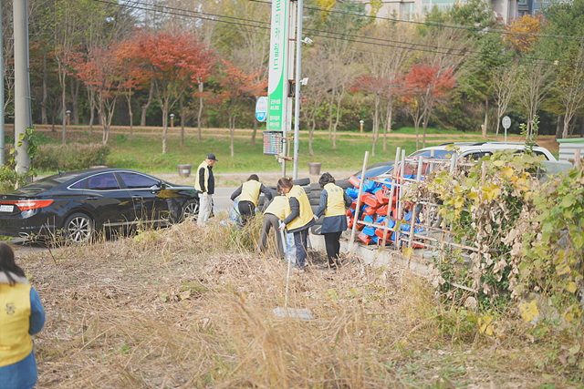 [수송동]주민자치위원회환경정화활동실시7