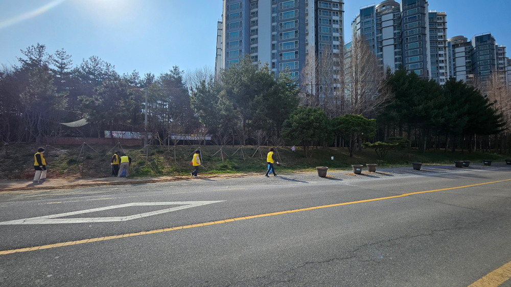 260325_통장단환경정화활동(5)