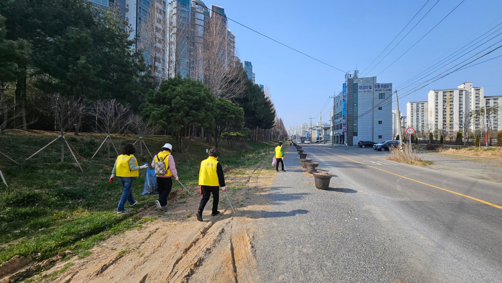 260325_통장단환경정화활동(7)