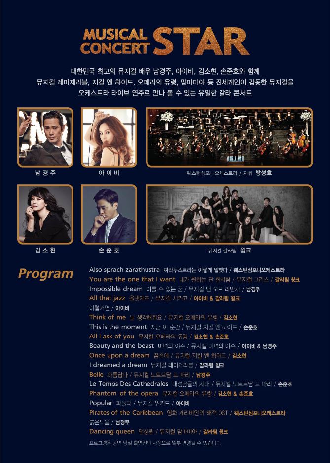 뮤지컬 스타 콘서트