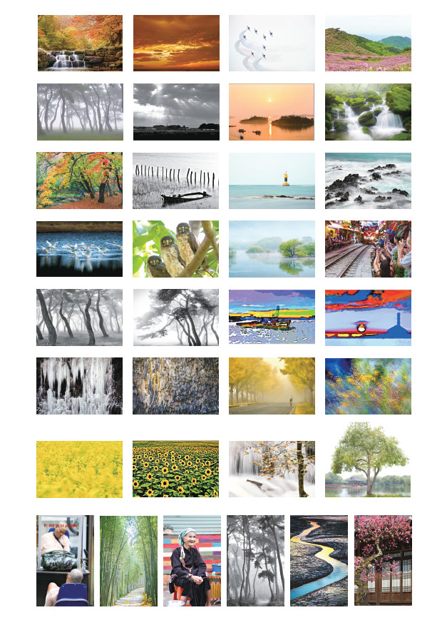 제26회 포커스99 사진전시회