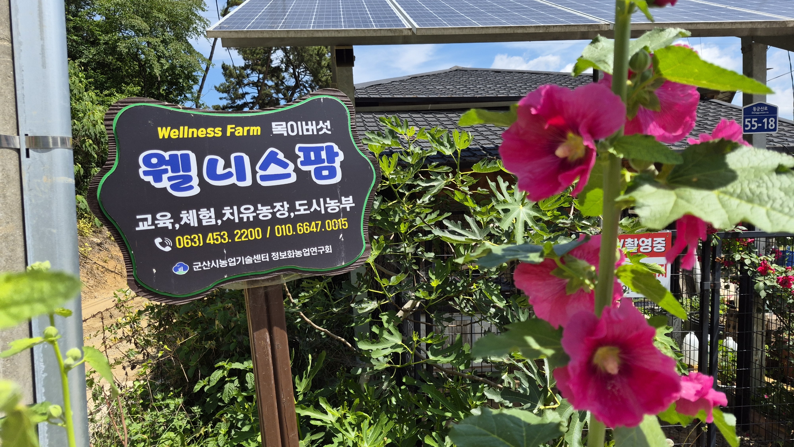 웰니스팜