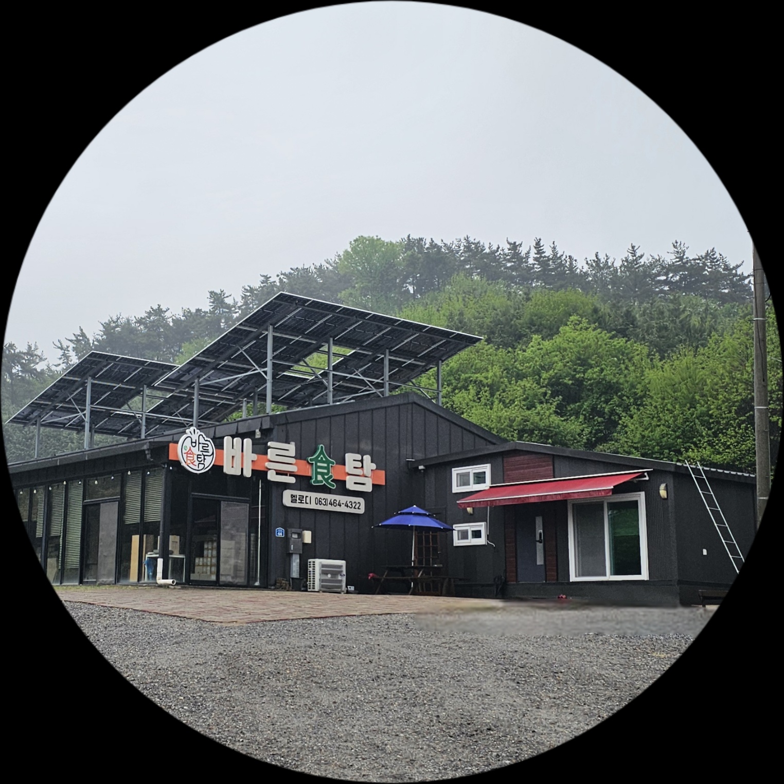 멜로디