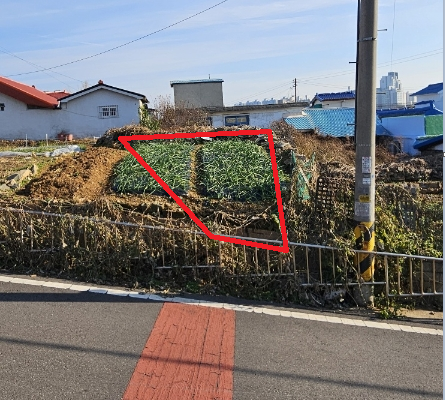 관련이미지4